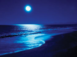 full-moon-over-the-sea